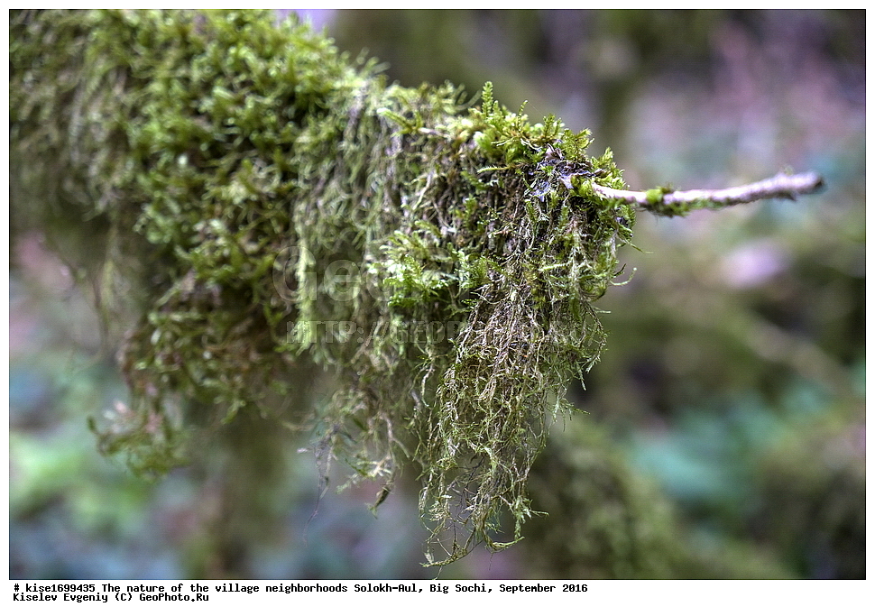 ������, �����������, �������, �����-���, ��������, ������, ������������� ����, ����, ����, �����, ����, �����, ������, �����, ���������, �������, ������, �������, ���, �����, �����, �����, ���, ������, ���, ��������, ������, ��������