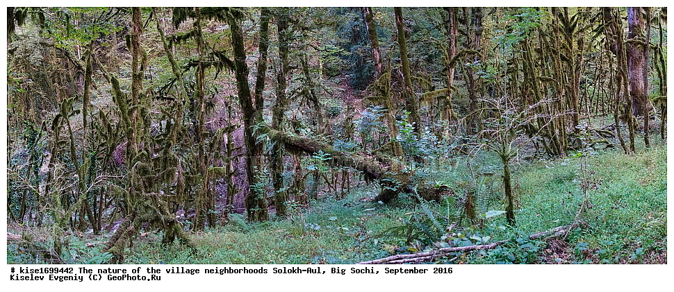 ������, �����������, �������, �����-���, ��������, ������, ������������� ����, ����, ����, �����, ����, �����, ������, �����, ���������, �������, ������, �������, ���, �����, �����, �����, ���, ������, ���, ��������, ������, ��������