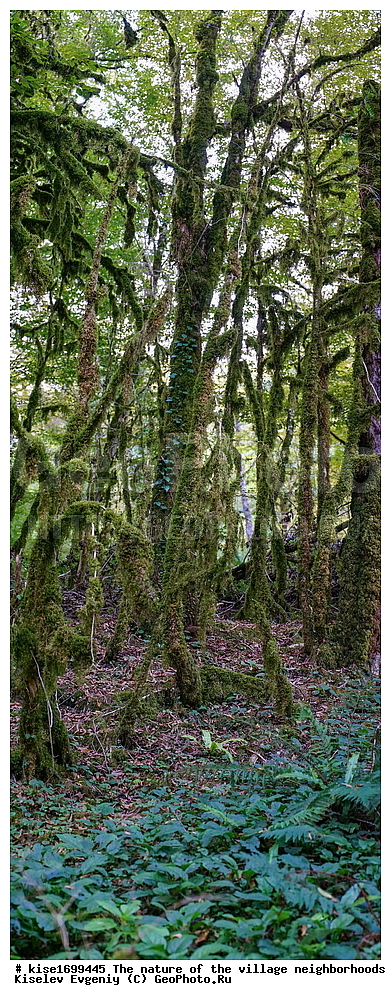 ������, �����������, �������, �����-���, ��������, ������, ������������� ����, ����, ����, �����, ����, �����, ������, �����, ���������, �������, ������, �������, ���, �����, �����, �����, ���, ������, ���, ��������, ������, ��������