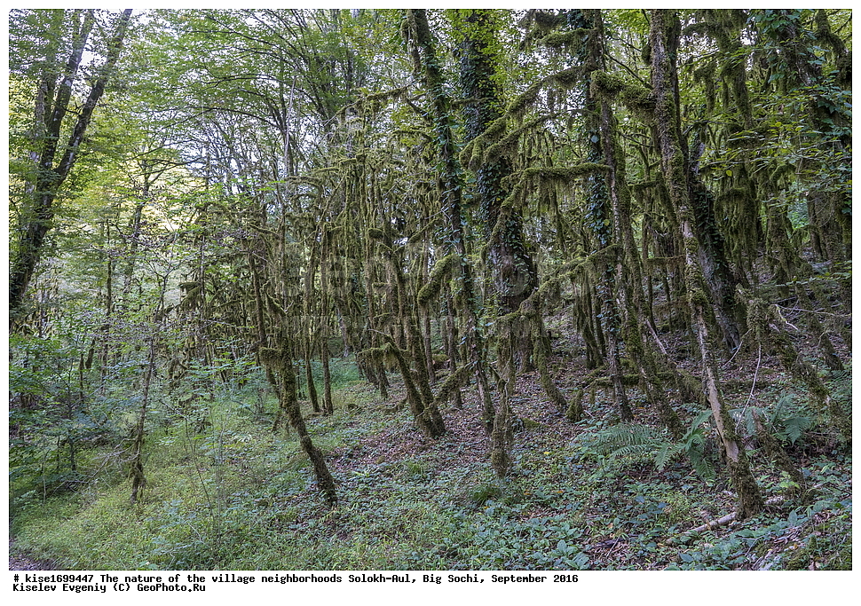 ������, �����������, �������, �����-���, ��������, ������, ������������� ����, ����, ����, �����, ����, �����, ������, �����, ���������, �������, ������, �������, ���, �����, �����, �����, ���, ������, ���, ��������, ������, ��������