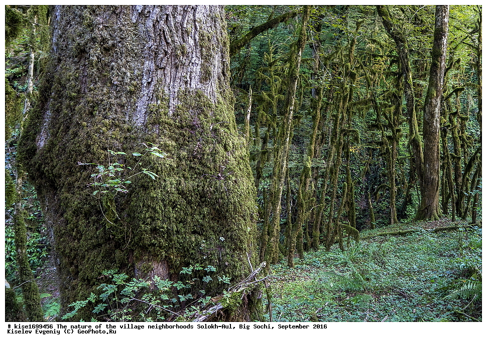 ������, �����������, �������, �����-���, ��������, ������, ������������� ����, ����, ����, �����, ����, �����, ������, �����, ���������, �������, ������, �������, ���, �����, �����, �����, ���, ������, ���, ��������, ������, ��������