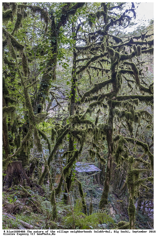 ������, �����������, �������, �����-���, ��������, ������, ������������� ����, ����, ����, �����, ����, �����, ������, �����, ���������, �������, ������, �������, ���, �����, �����, �����, ���, ������, ���, ��������, ������, ��������