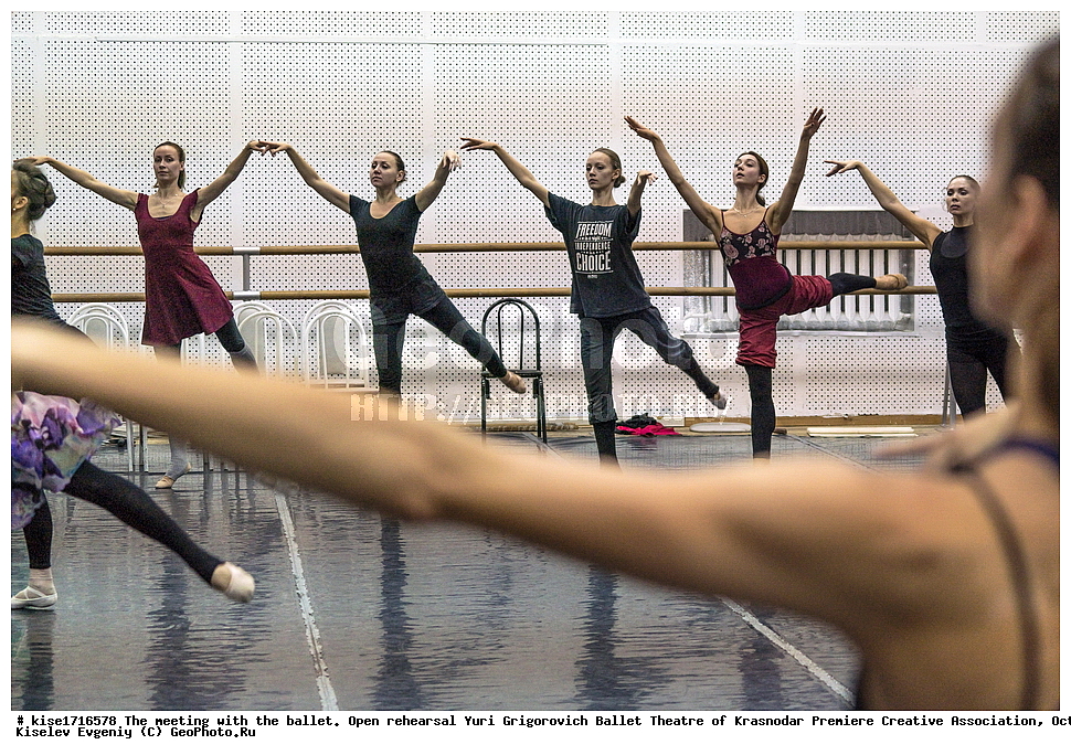 �����, ���������, �����, ���� ����������, ������������� ����������� ����������� ��������, �������, 2016, ���������, ������, �������� �����, �������  ������, ���������, ����������, ���� ���� ����������, �����, ����������, ��������, �����, ��, ��������