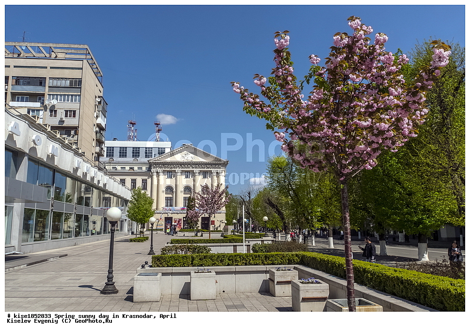 �����, ������, ������, ���������, ������, �����, �����������, ������, ����������, ����������, �������� �����, �����, ������, �������, �����, ��������, ������, ��������, ������, ������