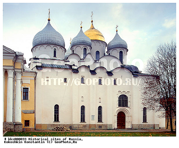 "������� ��������, ������������ "�����", ���, ������, �����������, ����������, ������������, ���������", ��������, ����, ������������