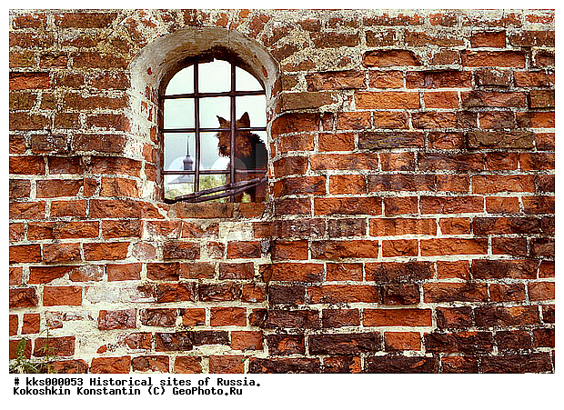 ����������� �������, �������-����������� ���������, ��������, ���, ������, �����������, ����������, ������������, ���������, ��������, ����, ������������