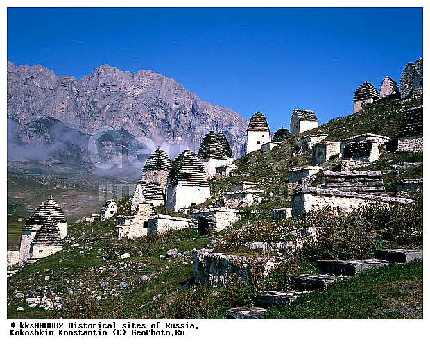 ���, ������, �������� ������ ������ ��������, �����������, ����������, ������������, ���������, ��������, ����, ������������