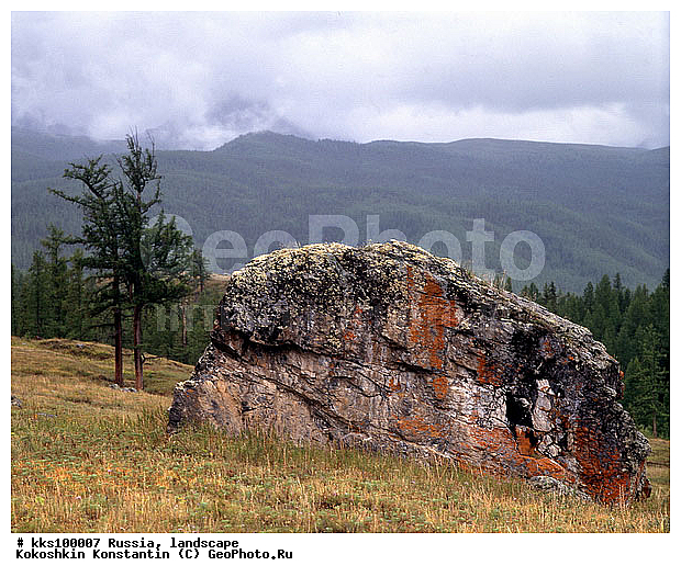 ����� ������, ������, ���� ������� ������:, ��������, ������