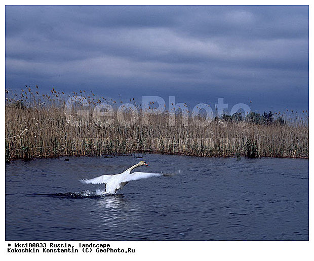 ������ �����, ������, ���� ������� ������:, ��������, ������