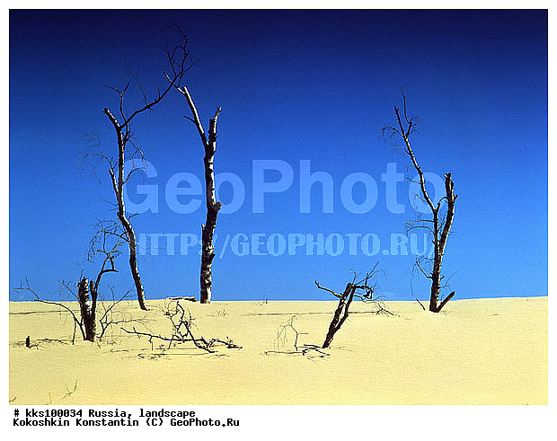 ����, ��������������� �������, ������, ���� ������� ������:, ��������, ������