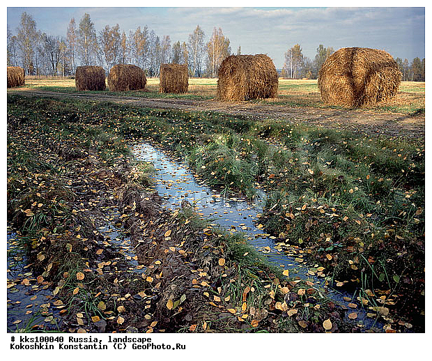 ������� �����, ������, ���� ������� ������:, ��������, ������