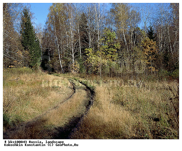 ������� �����, ������, ���� ������� ������:, ��������, ������