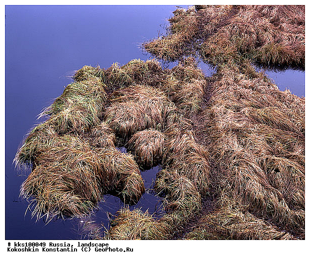 ������� ����� � ������, ������, ���� ������� ������:, ��������, ������