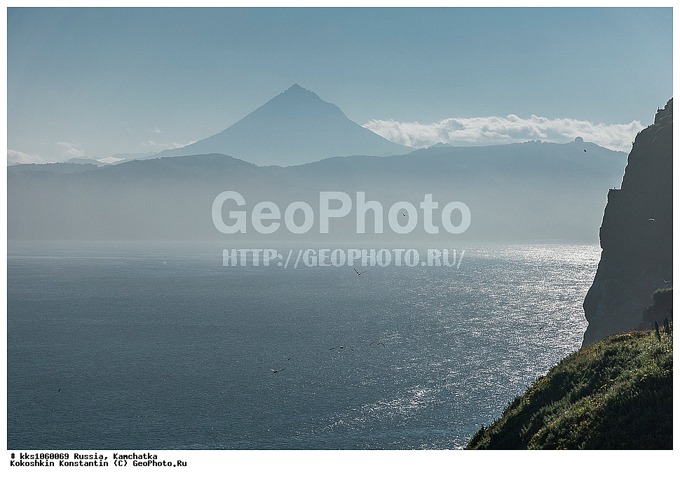 ������, ��������, ����������, �����, �����, �����, ������, �����������, ������, ������, ��������, ����, �����, ���, �����, ��������