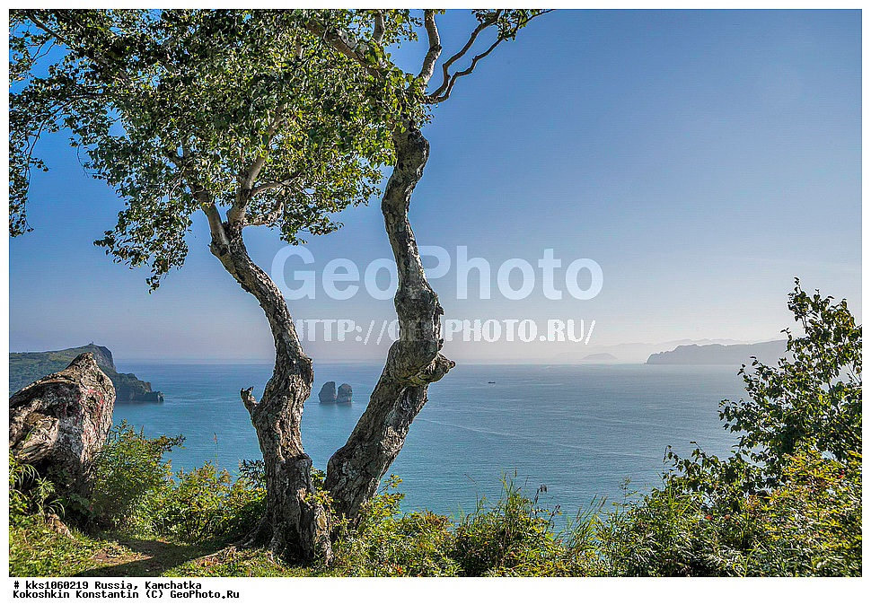 ������, ����������, ����, ��������,, ����, ������,, ��������, ������, �����, ��������, ������, �����, �����, ����������, �����,, �������, �����������, ������, ��������, ����,, ������