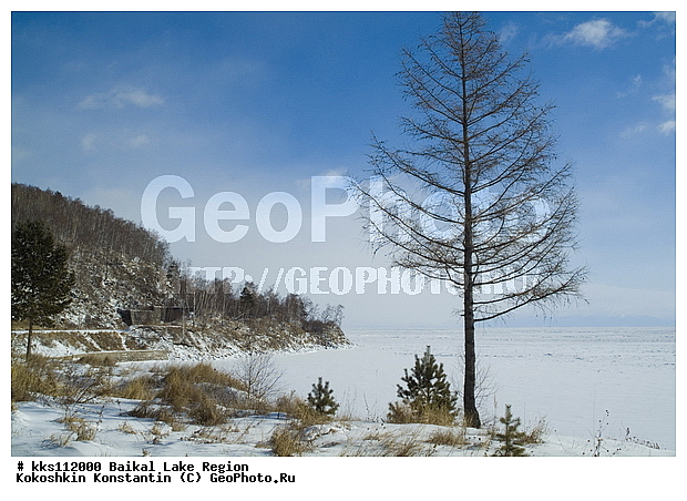 ������, �����