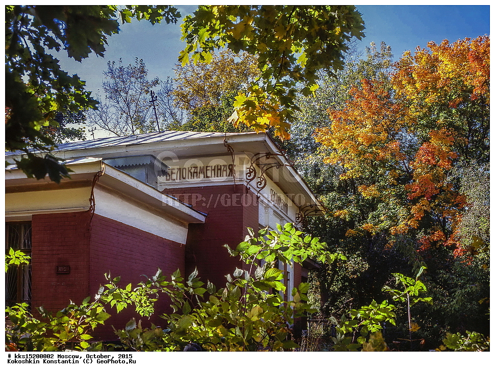 ������, ����������, ���������, ��������, ������, �������, ������������, 1908, ���, ������������, �����������, ���������, �����������, ���������, �����