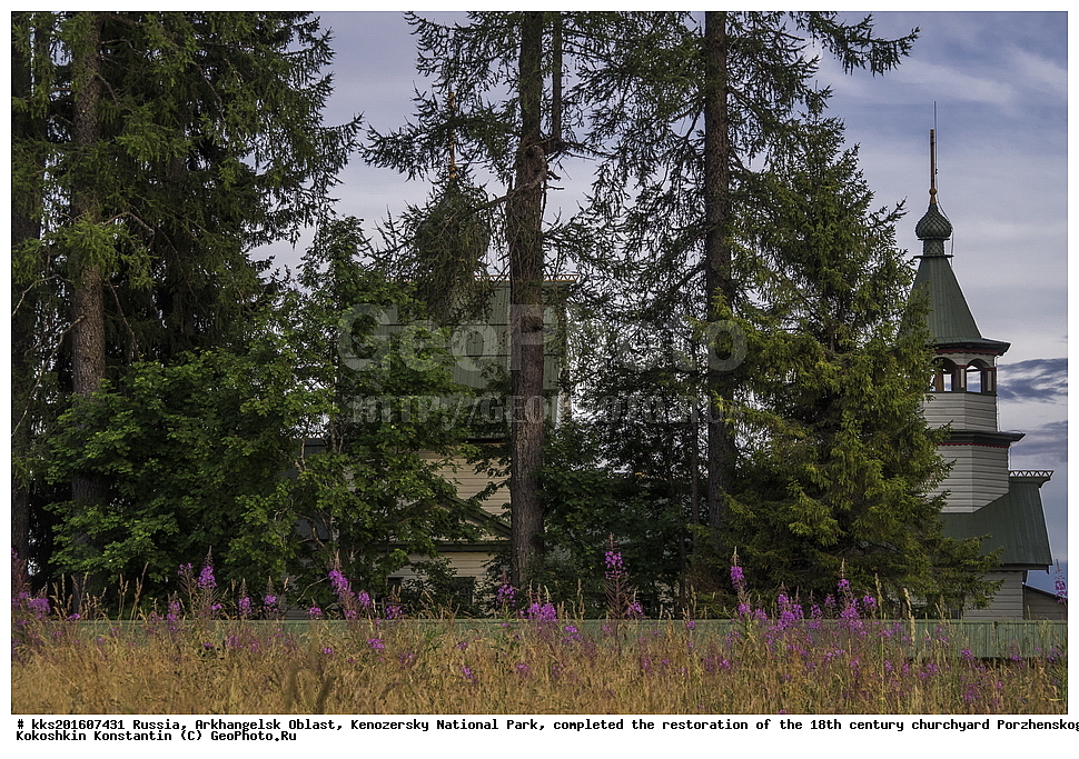 ������, ������������� �������, ����������� ������������ ����, ����, ���������, ������, ���������� ������, 18 ���