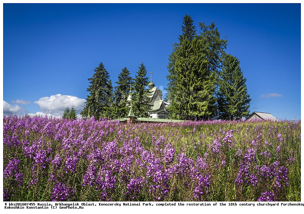 ������, ������������� �������, ����������� ������������ ����, ����, ���������, ������, ���������� ������, 18 ���