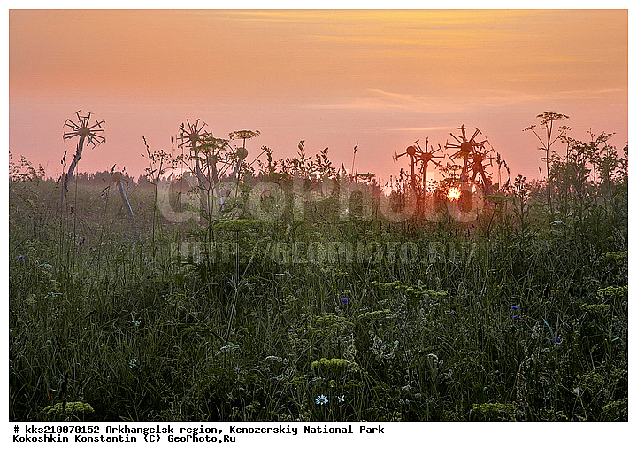 ���, ������������� �������, ����������, �����������, ���������, ����-���, ��������, ������, �����, ��������, ����, ���, �������, ����