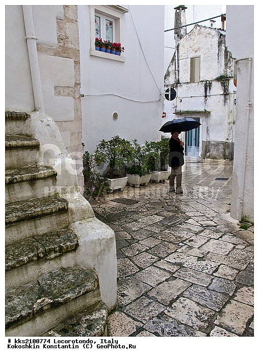 ������, �����������