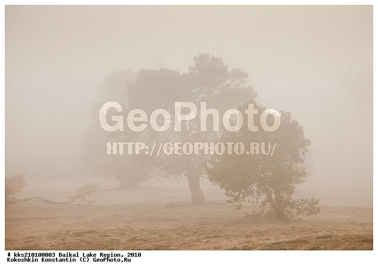 ������, �������, �����, ������, �����