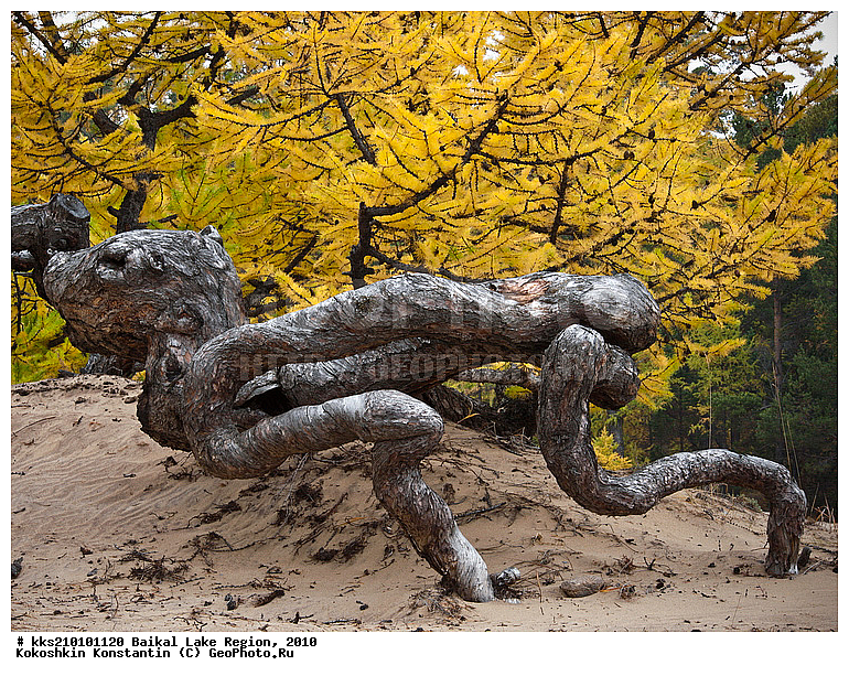 ������, ����, �������, �����, ������, �����, ������, ������, �����, �����