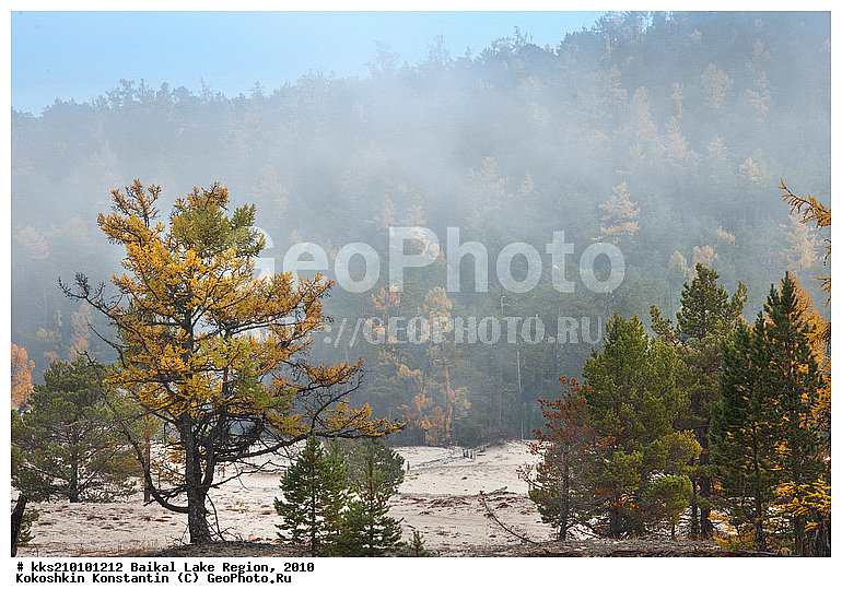 ������, ����, �������, �����, ������, �����, ������, ������, �����, �����