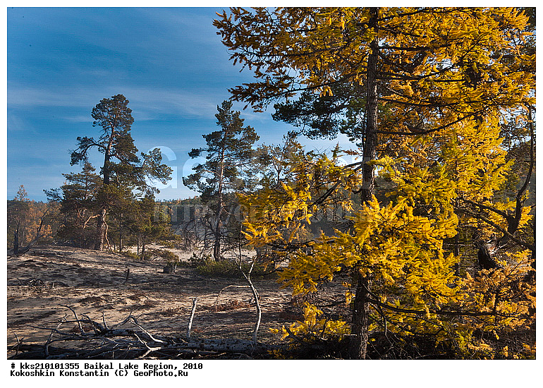 ������, ����, �������, �����, ������, �����, ������, ������, �����, �����