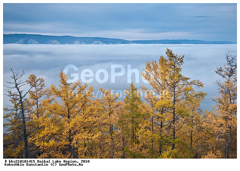 ������, ����, �������, �����, ������, �����, ������, ������, �����, �����