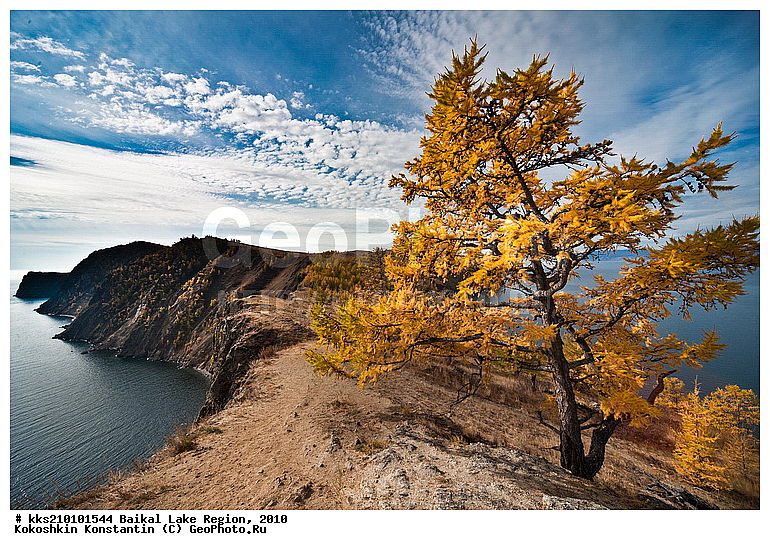 �����, ������, ����, �������, ���, �����, ������, �����, ������, ������, �����, �����, �����