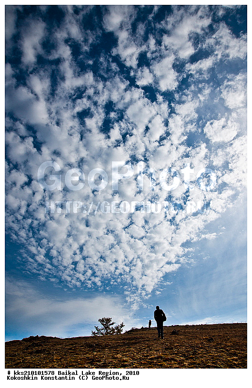 �����, ������, ����, �������, ���, �����, ������, �����, ������, ������, �����, �����, �����