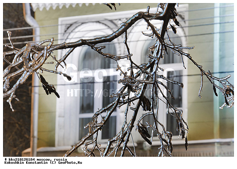 ������� 2010 ���, �����, ����, ���, ������� �����, ������� �������, ������, ������, ����, ��������� ��������