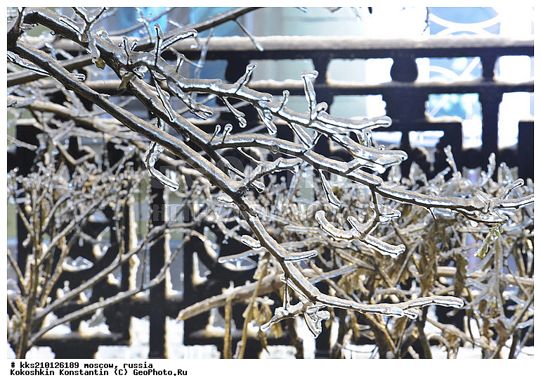 ������� 2010 ���, �����, ����, ���, ������� �����, ������� �������, ������, ������, ����, ��������� ��������