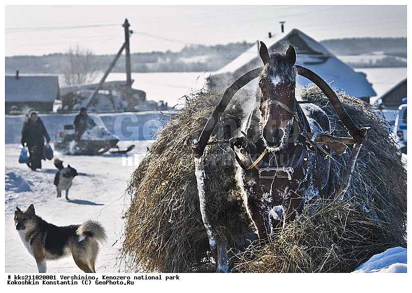 ���������, �����������, � �����, �������, ���������� �����������, �������, ����, ��������, ���������, ������, �����, ������������ ����, ������, ������� �����, ����, ����, ���������, ������, ��������, �����, �������, �����