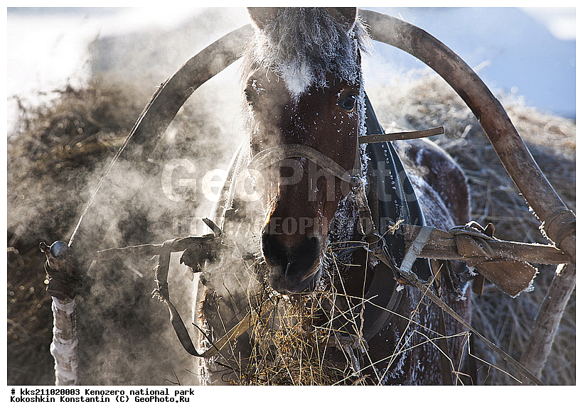 ���������, �����������, � �����, �������, ���������� �����������, �������, ����, ��������, ���������, ������, �����, ������������ ����, ������, ������� �����, ����, ����, ���������, ������, ��������, �����, �������, �����