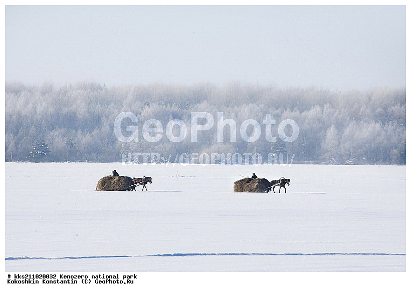 ���������, �����������, � �����, �������, ���������� �����������, �������, ����, ��������, ���������, ������, �����, ������������ ����, ������, ������� �����, ����, ����, ���������, ������, ��������, �����, �������, �����