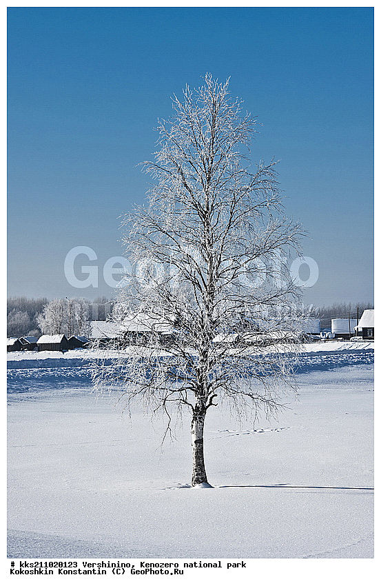 ���������, �����������, �������, ���������� �����������, ����, ��������, ���������, �����, ������������ ����, ������, ������� �����, ����, ���������, ������, �������, �����