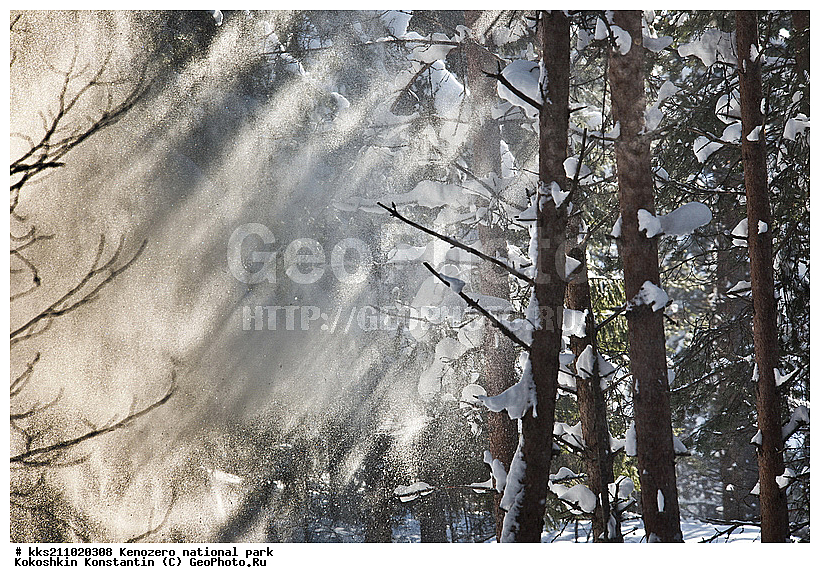 ��������, ���-����, �������, �����������, �������, ���������� �����������, �����������, ����, ������, ��������, ���������, ���, �����, ������������ ����, ������, ������� �����, ����, ���������, ������, �������, �����