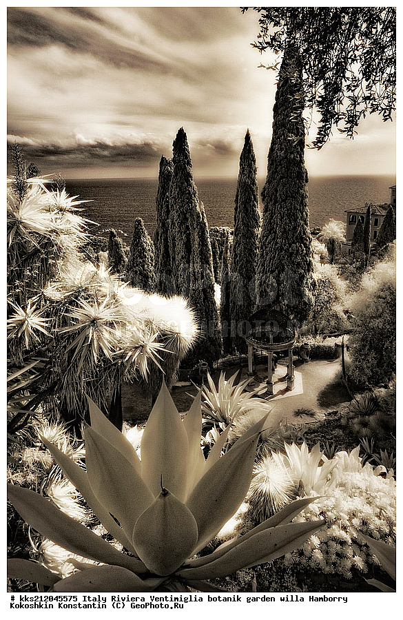 ������, ����������, ������� ���, �������, ������, ������������ ����