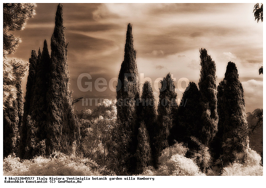 ������, ����������, ������� ���, �������, ������, ������������ ����