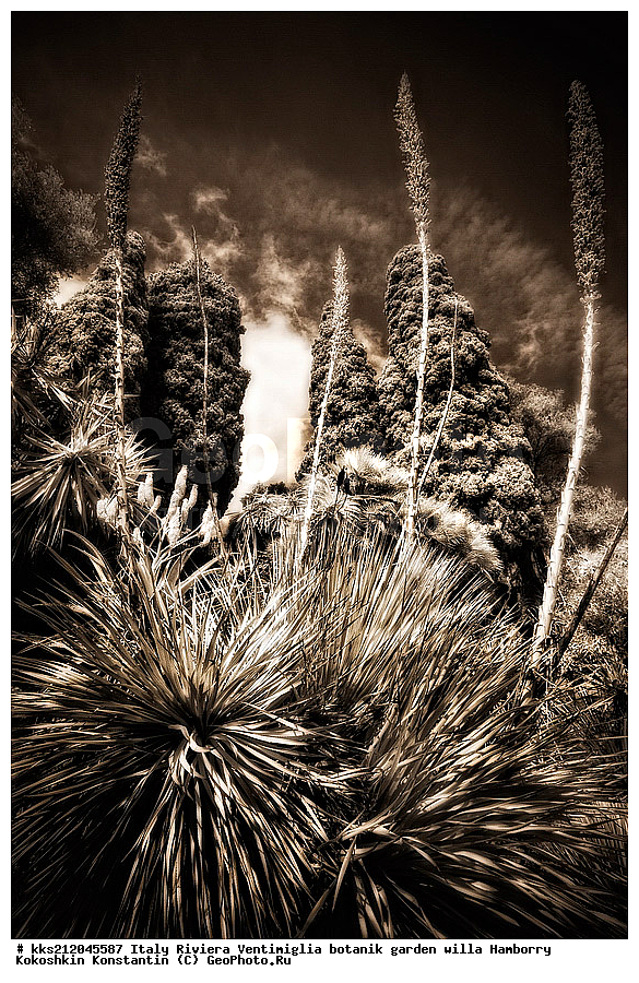 ������, ����������, ������� ���, �������, ������, ������������ ����