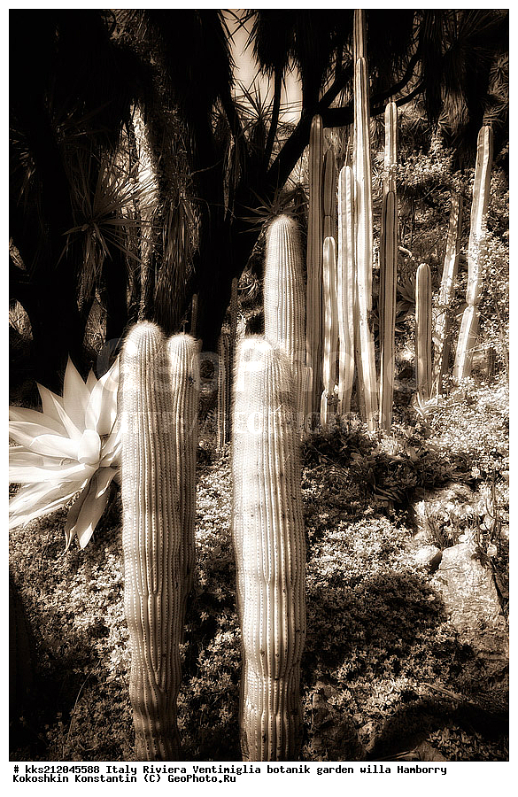 ������, ����������, ������� ���, �������, ������, ������������ ����