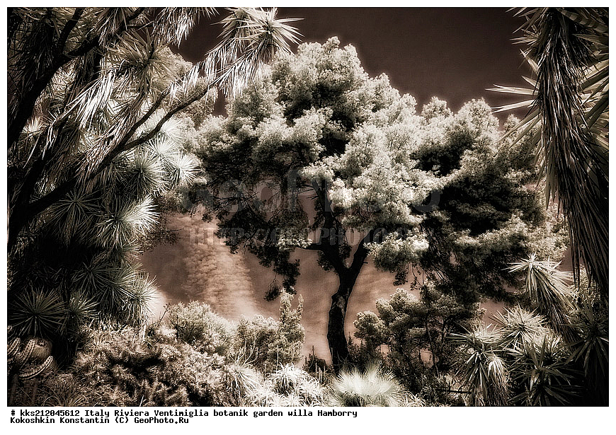 ������, ����������, ������� ���, �������, ������, ������������ ����