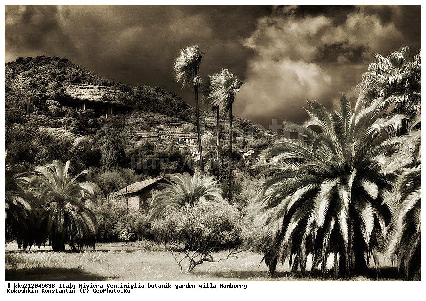 ������, ����������, ������� ���, �������, ������, ������������ ����