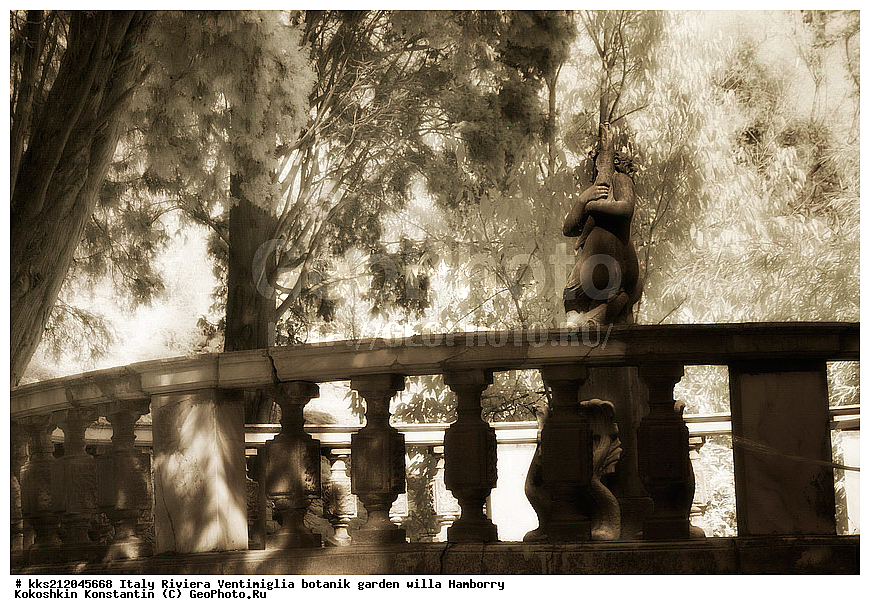 ������, ����������, ������� ���, �������, ������, ������������ ����