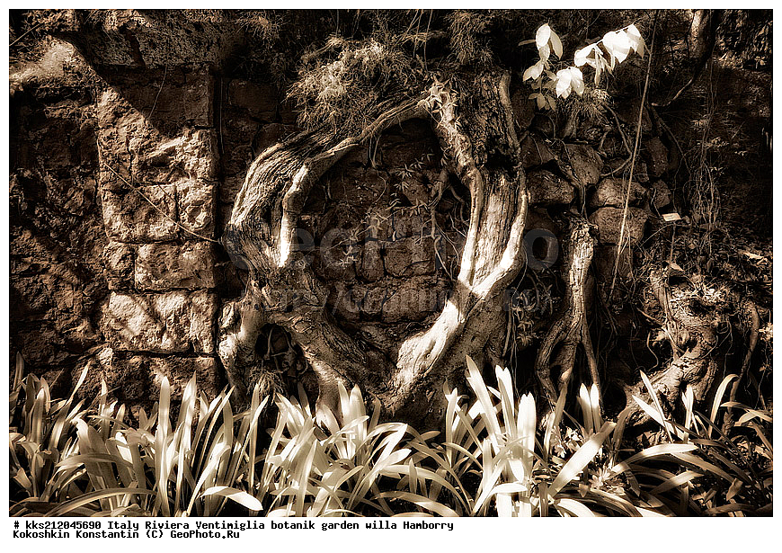 ������, ����������, ������� ���, �������, ������, ������������ ����