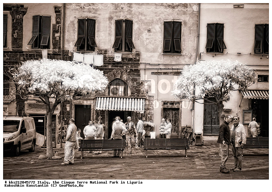 ������, �������, ������ �����, ��������, ��������, ��������, ����������, ����, ����, �����, �����, ������, �������, �������, ��������, ���������