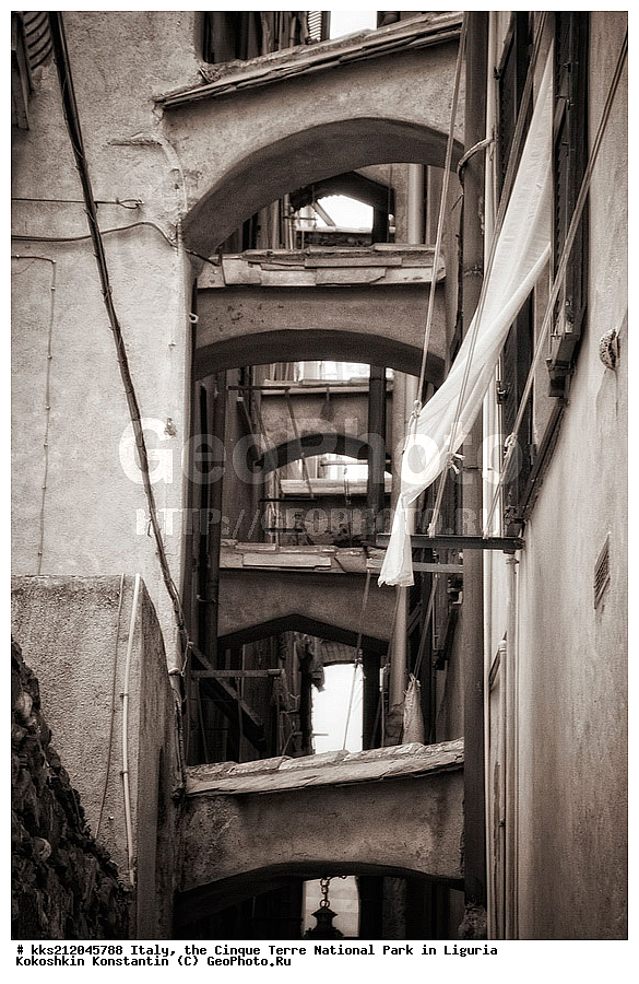 ������, �������, ������ �����, ��������, ��������, ��������, ����������, ����, ����, �����, �����, ������, �������, �������, ��������, ���������