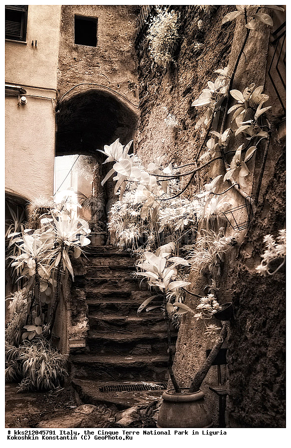 ������, �������, ������ �����, ��������, ��������, ��������, ����������, ����, ����, �����, �����, ������, �������, �������, ��������, ���������